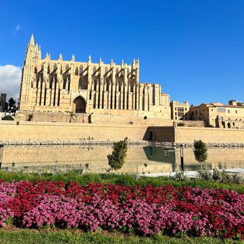 Palma Cathedral