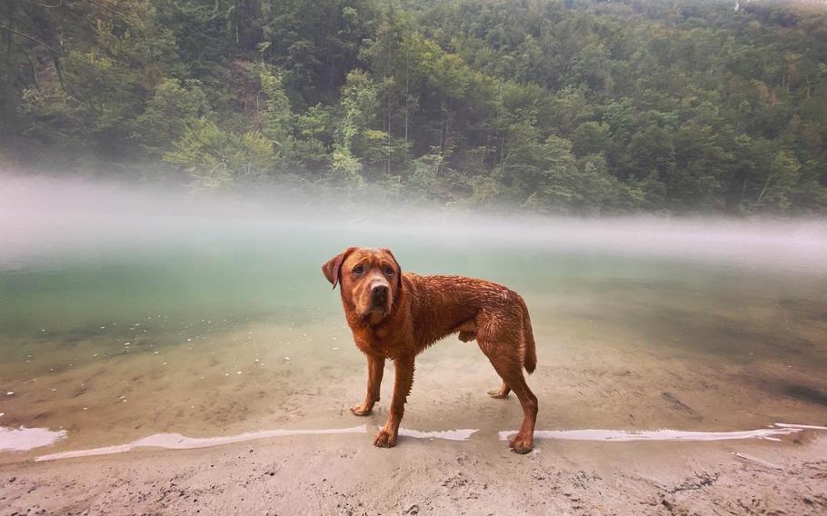 Nakoa in Tolmin, Slovenia