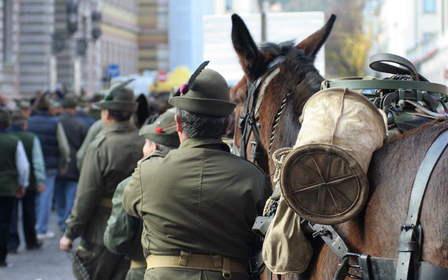 Alpini marching with a mule in the town center