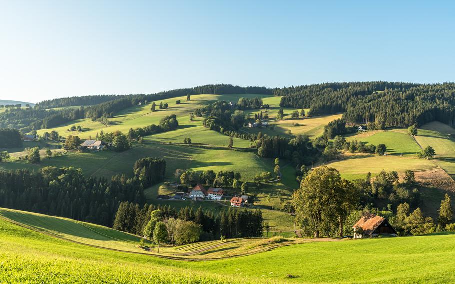 Hilly landscape of the Black Forest, with farmhouses and lush green meadows, St. Maergen, Baden-Wuerttemberg, Germany