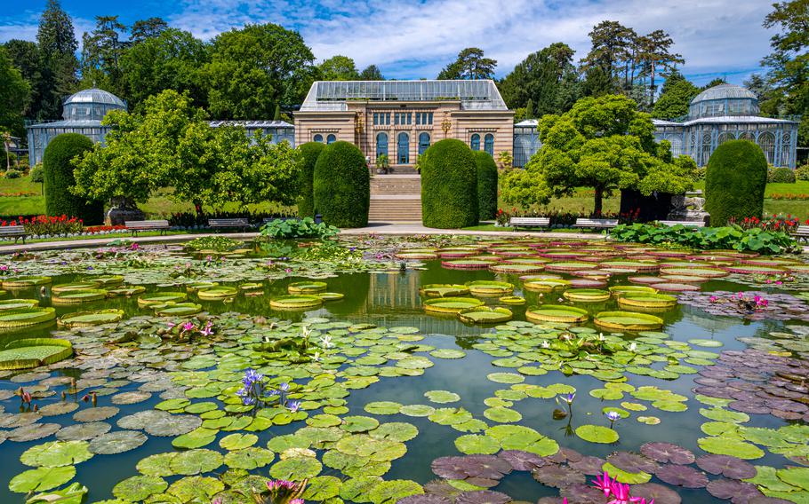 a view across the water lily pond of the glass domed botanical garden 