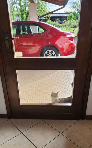 Poppy visits daily.