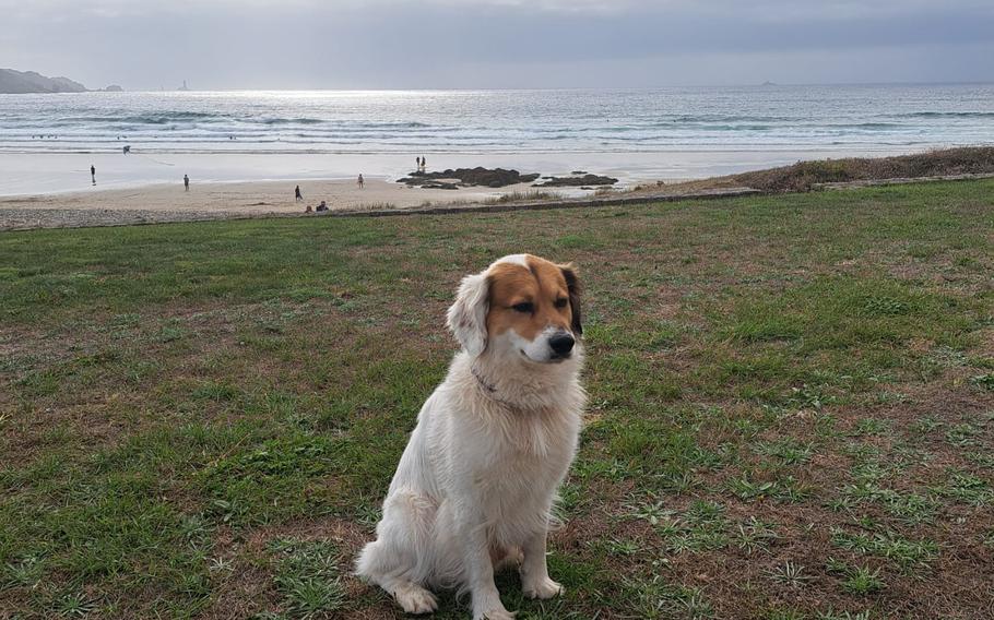 Paul in Brittany, France