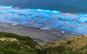 Bioluminescent Tide