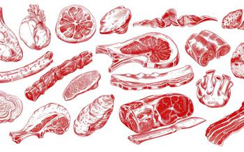 a poster of red drawings illustrating different cuts of meats from different animals 