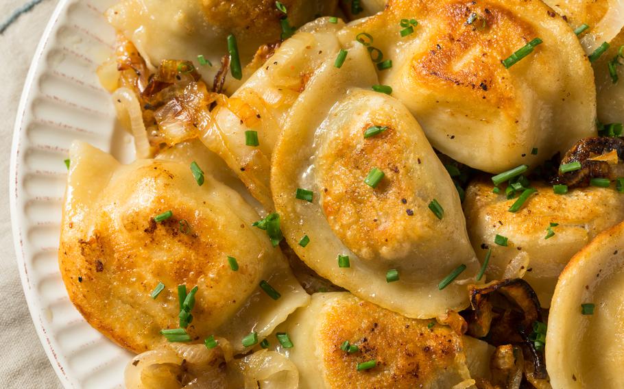 Homemade Polish Potato Pierogies  with Onion and Chives