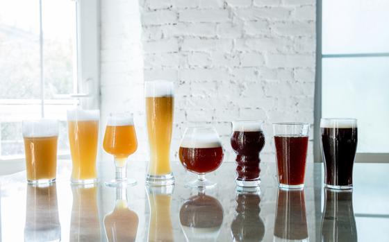 Flight of full-sized beers lined up from light to dark (left to right)