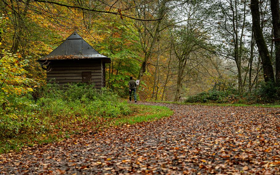 Bärensee Forest, Stuttgart