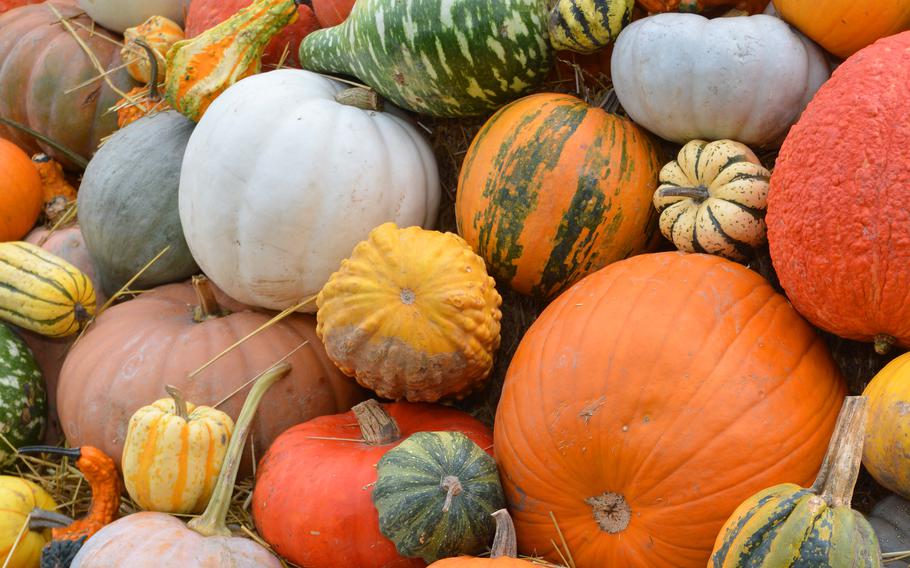 Up-close shot of colorful pumpkins