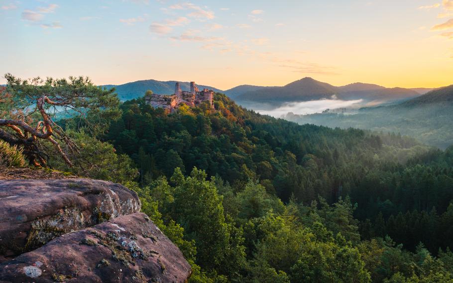 Palatinate Forest at sunset