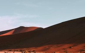 a surreal desert landscape with dunes and tree limbs