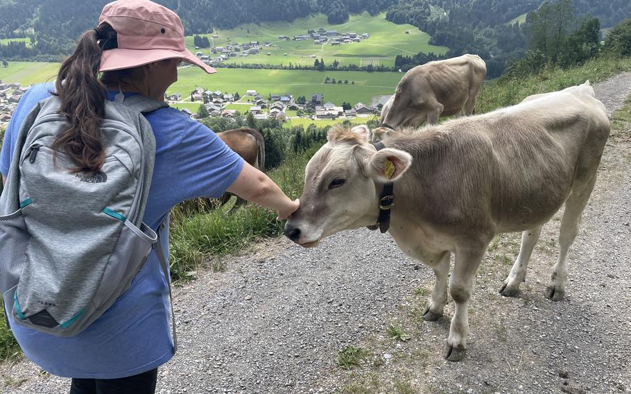 Farm visit in Au-Schoppernau