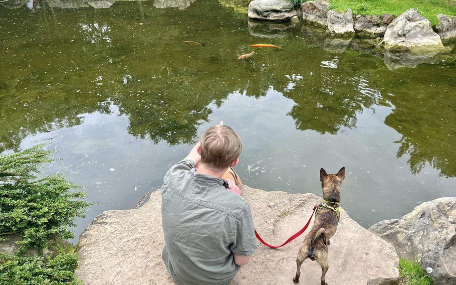 Keebler and his family at the Japanese garden in Nordpark, Düsseldorf