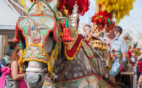 Photo Of Closeup view of a horse’s head of a Sicilian cart during a festival