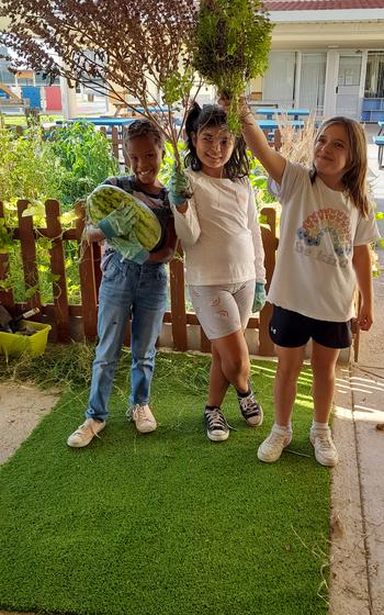 Harvest time at the school garden 