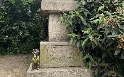 Photo Of Keebler Visits “Little Tokyo” in Düsseldorf