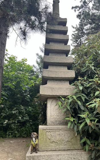 Keebler at the Japanese garden in Nordpark, Düsseldorf