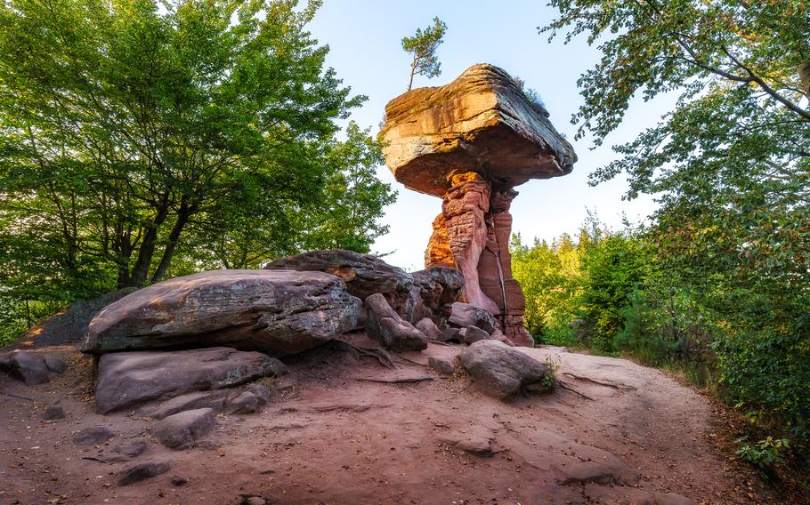 The famous Devils Table (german Teufelstisch) near Hinterweidenthal