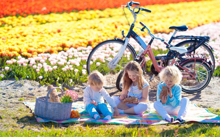 Kids having a picnic during a trip to The Netherlands