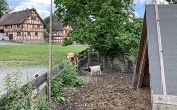 Visiting the Hessenpark to experience German rural life back in time.