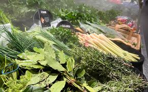 Herbs like sage and thyme in misty grocery store