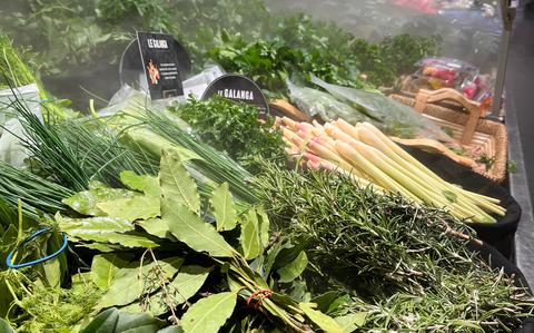 Photo Of Herbs like sage and thyme in misty grocery store