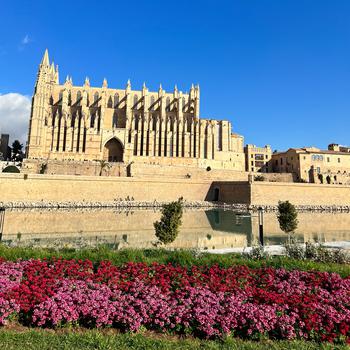 Red and pink flowers in front of the Palma Cathedral during the day.