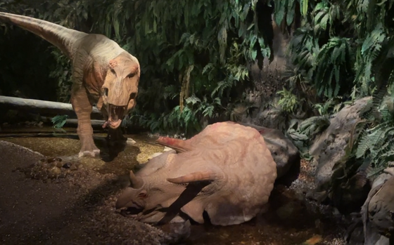Gondwana Das Praehistorium