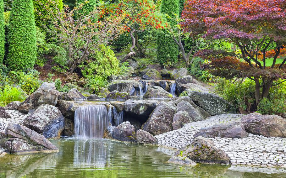 waterfalls cascading and a bright red maple tree