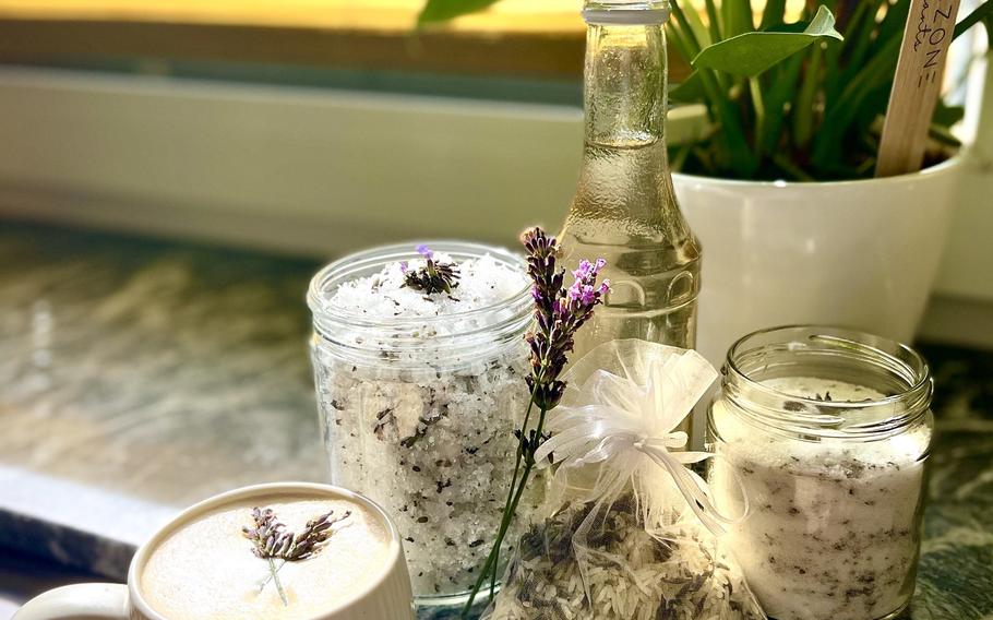 Lavender tea, sachel and plant