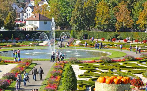 Photo Of A colorful fall picture with a maze of gardens, a circular fountain, and pumpkins 