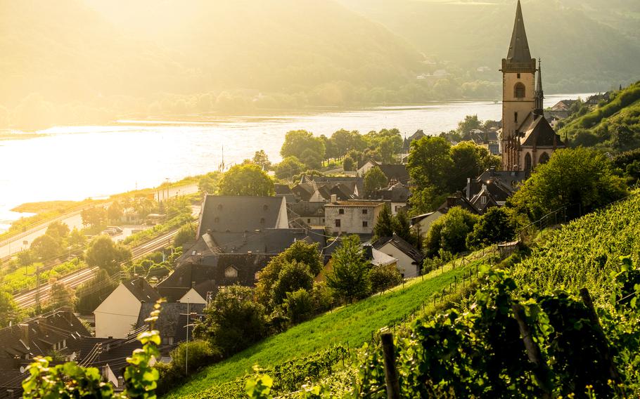 Vineyards around the village of Lorch along the Rhine river in Germany
