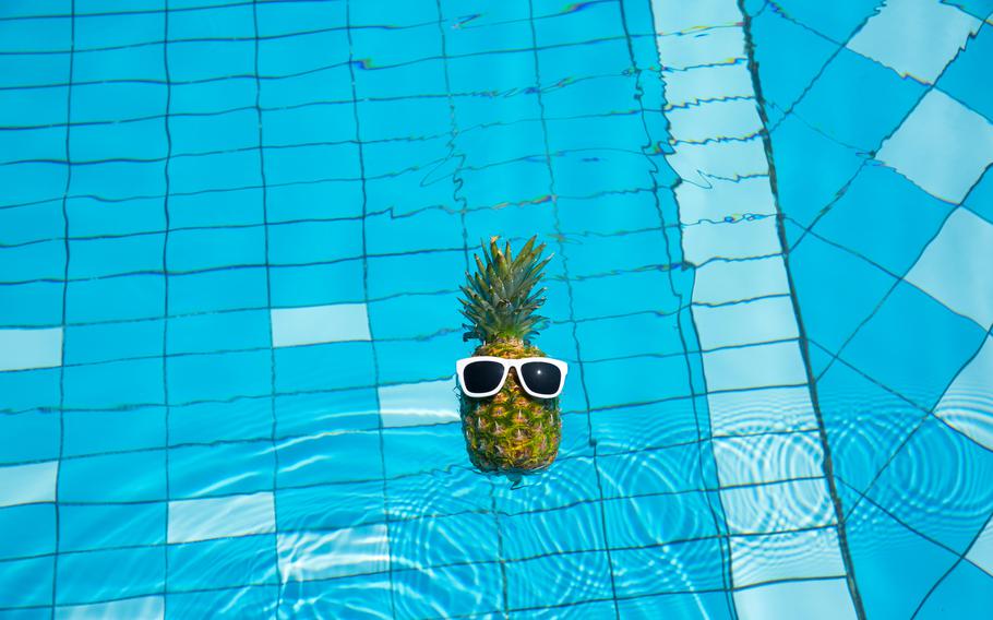 Pineapple keeping cool in the pool