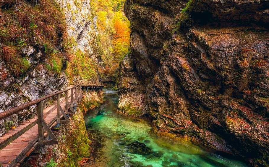 Tourist route on the wooden flooring in the famous Vintgar gorge (soteska Vintgar) or Bled Gorge (Blejski vintgar) in Slovenia. Amazing autumn landscape with scenic canyon, outdoor travel 