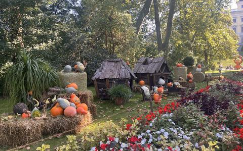 Photo Of A bright gourd display with carved characters into pumpkins. There’s little huts and a big garden of red and white flowers. 