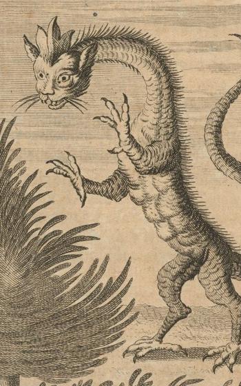 Tatzelwurm drawn by Johann Jakob Scheuchzer (1672-1733) in 1723