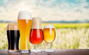 An assortment of beer glasses filled with different types of beer, placed on a rustic wooden table with a beautiful summer landscape in the background