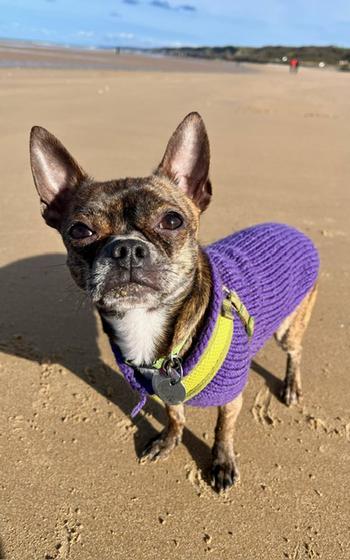 Keebler on Omaha Beach