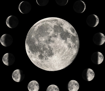 Lunar Phases