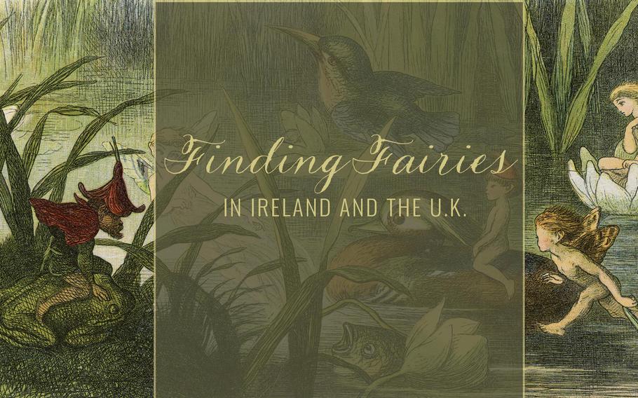 Finding Fairies illustration