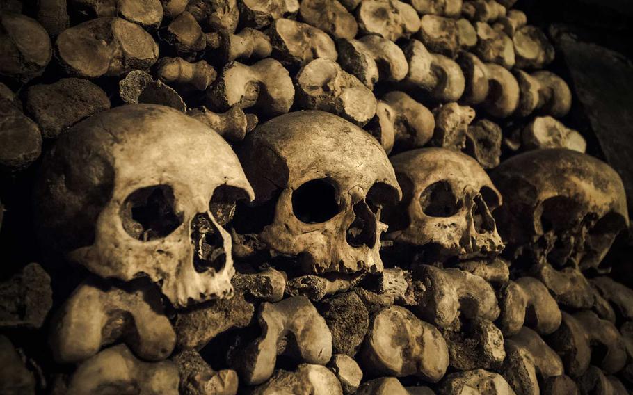 Rows of human skulls and bones are carefully arranged in the dimly lit catacombs, creating a chilling reminder of mortality and the mysterious past.