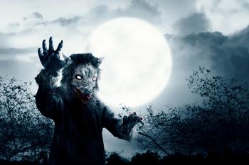 A werewolf with a full moon and night scene