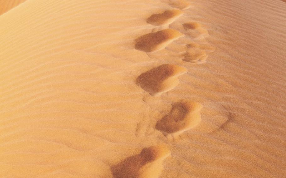 Human footprints in the sand dunes of Sharqiya (Wahiba) Sands, Oman