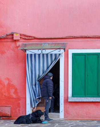 Man and dog in Burano, Italy