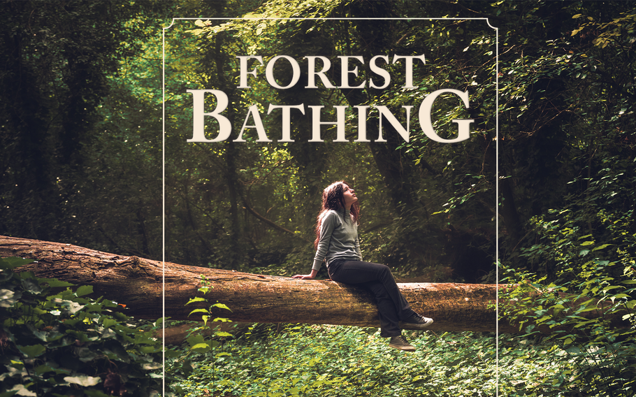 woman sitting on fallen tree in the middle of enchanted and misty forest 