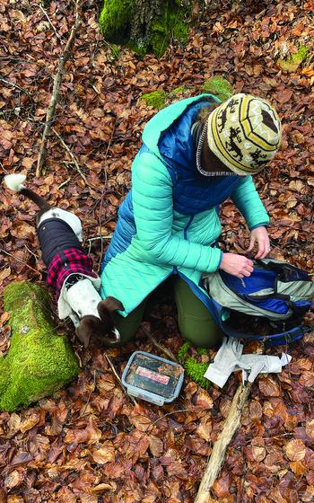 Finding a geocache in the forest.