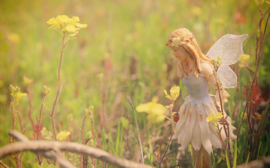 Magical little fairy in the grass