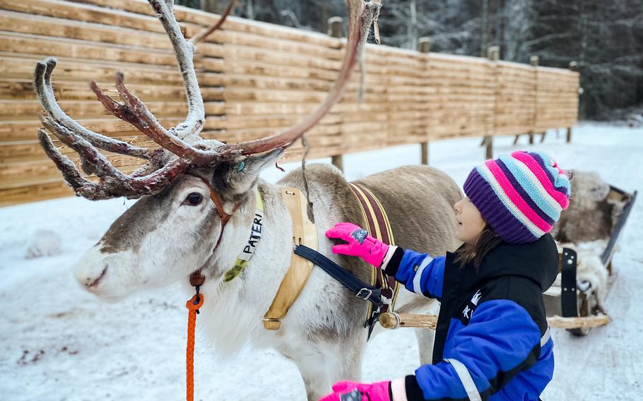 Girl petting reindeer in snow