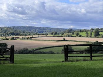 Rolling landscape on a sunny day