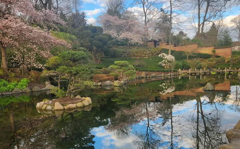 Spring flowering trees at Kaiserslautern’s Japanese Garden